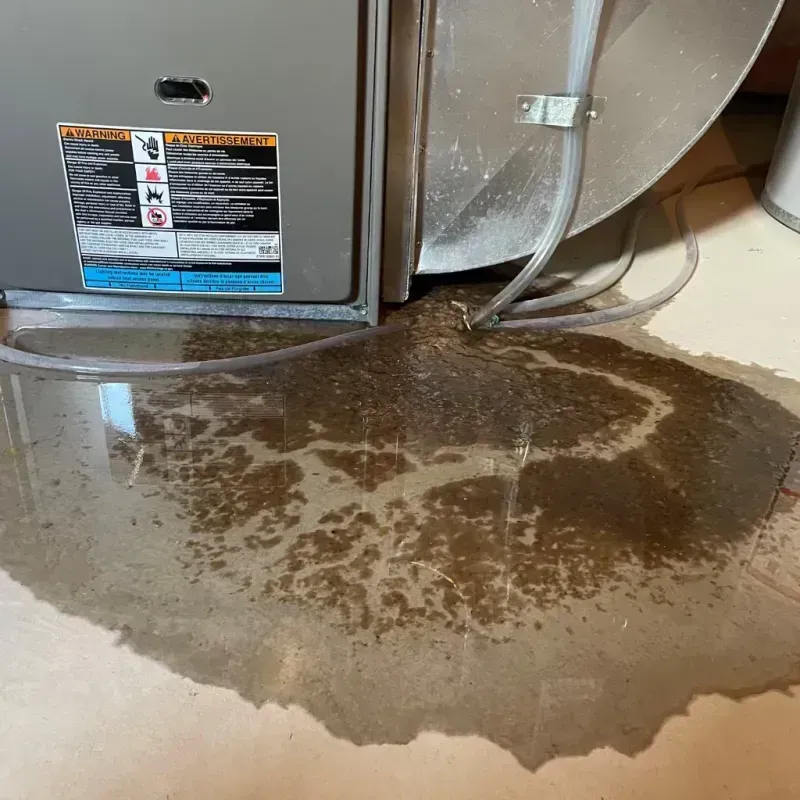 Appliance Leak Cleanup in Emery County, UT